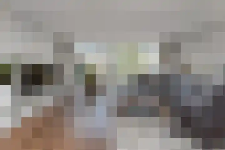 Aalbersestraat 7 Naaldwijk thumbnail 22