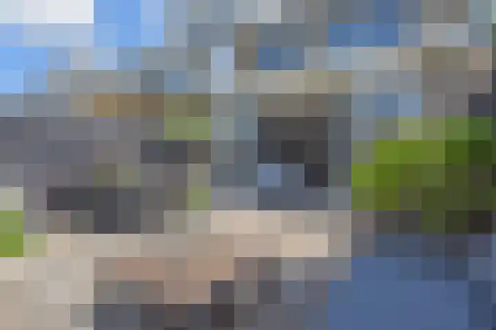 Aalbersestraat 7 Naaldwijk thumbnail 27