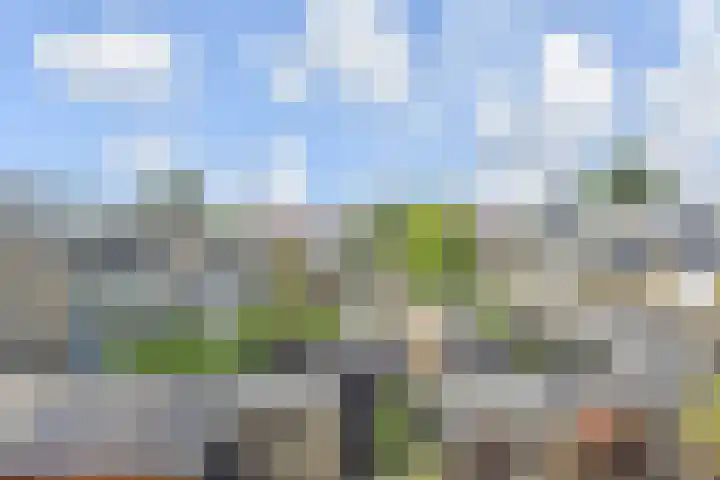 Aalbersestraat 7 Naaldwijk thumbnail 37