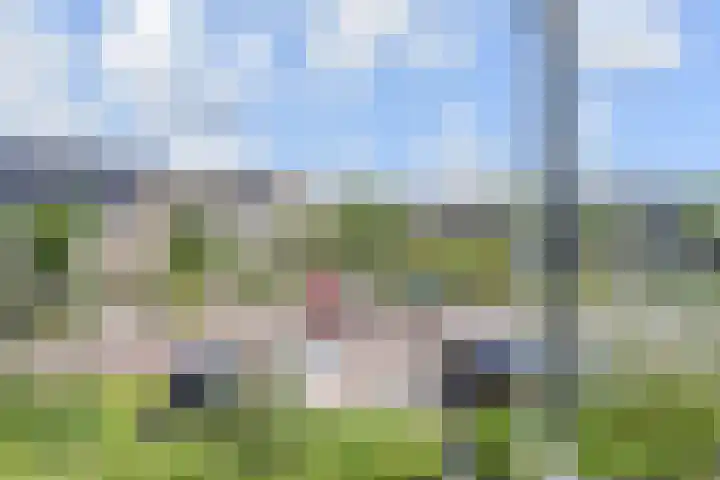 Aalbersestraat 7 Naaldwijk thumbnail 38