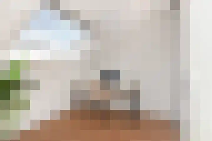 Aalbersestraat 7 Naaldwijk thumbnail 52