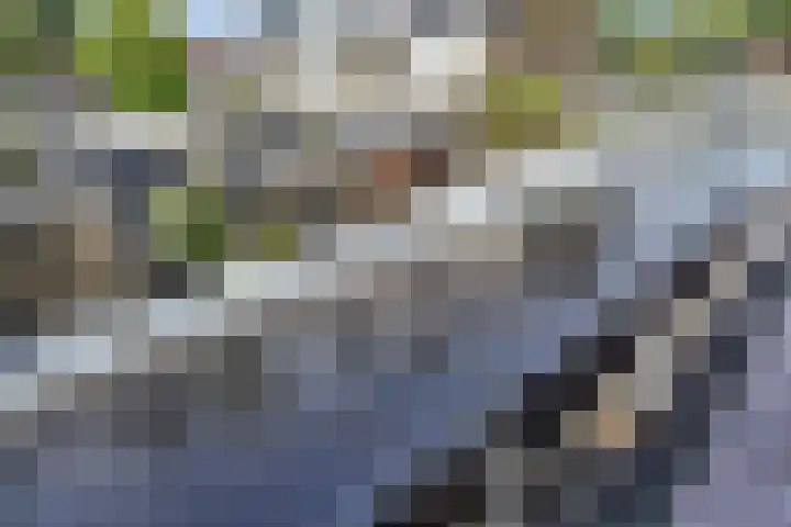 Aalbersestraat 7 Naaldwijk thumbnail 53