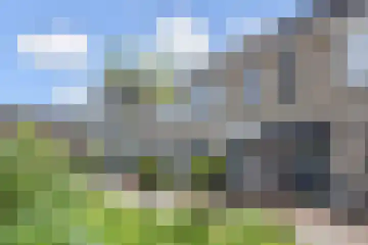 Aalbersestraat 7 Naaldwijk thumbnail 54