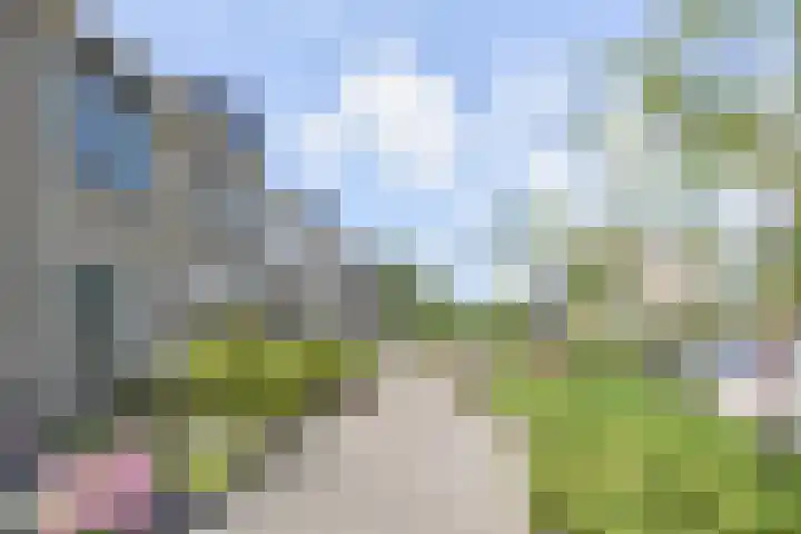 Aalbersestraat 7 Naaldwijk thumbnail 56