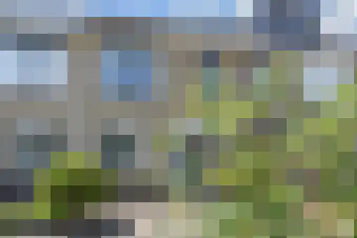 Aalbersestraat 7 Naaldwijk thumbnail 57