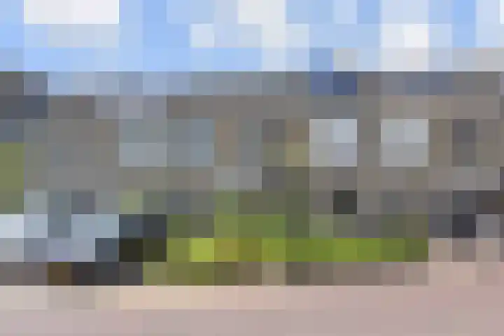 Aalbersestraat 7 Naaldwijk thumbnail 58