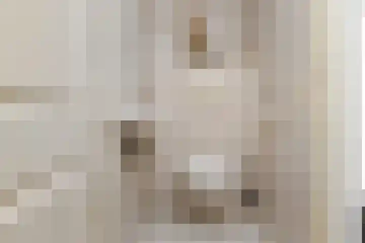 Aalbersestraat 7 Naaldwijk thumbnail 9
