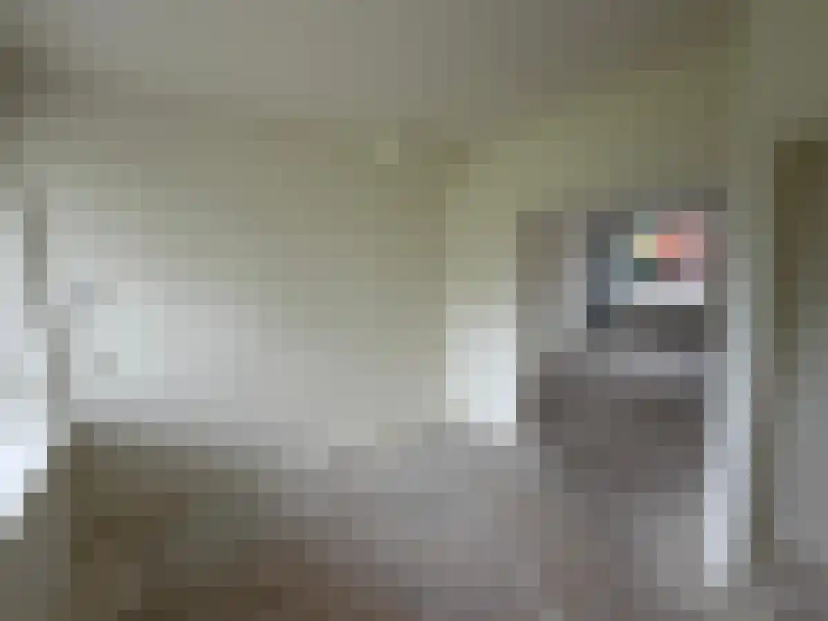 Aalbersestraat 80 Amsterdam thumbnail 5