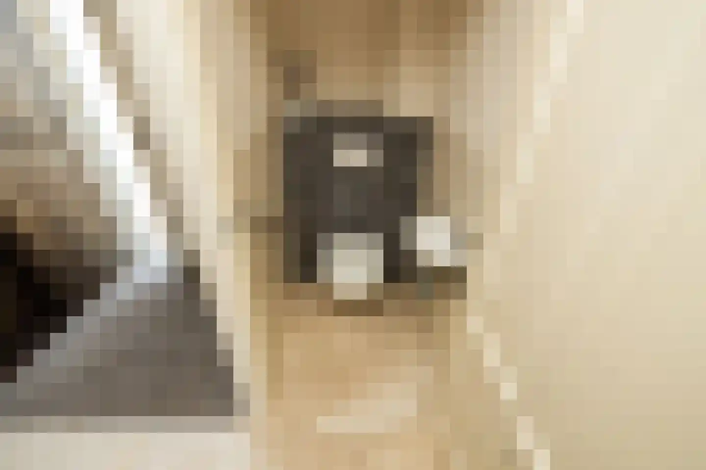 Aalbersestraat 9 Naaldwijk thumbnail 15