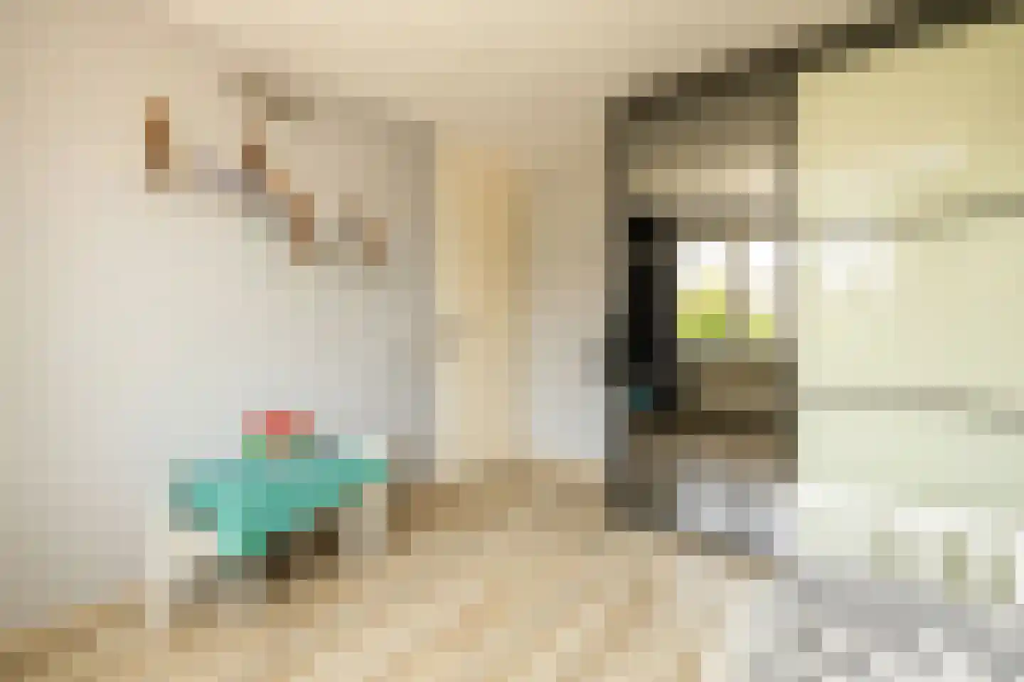 Aalbersestraat 9 Naaldwijk thumbnail 20