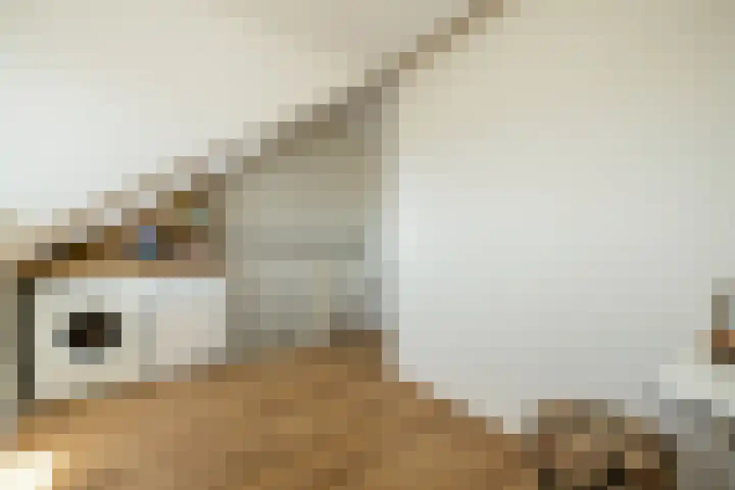 Aalbersestraat 9 Naaldwijk thumbnail 25