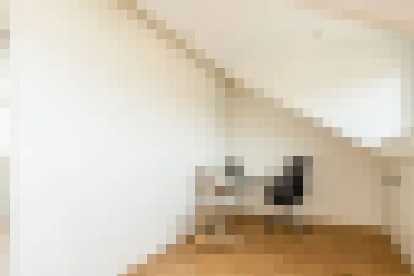 Aalbersestraat 9 Naaldwijk thumbnail 27