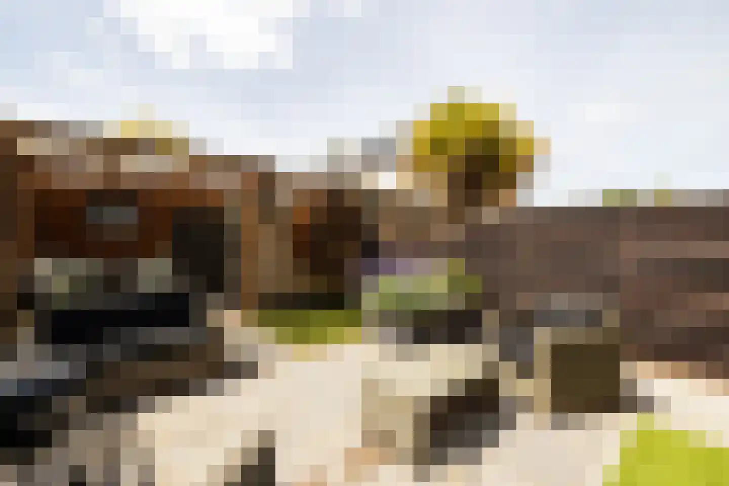Aalbersestraat 9 Naaldwijk thumbnail 33