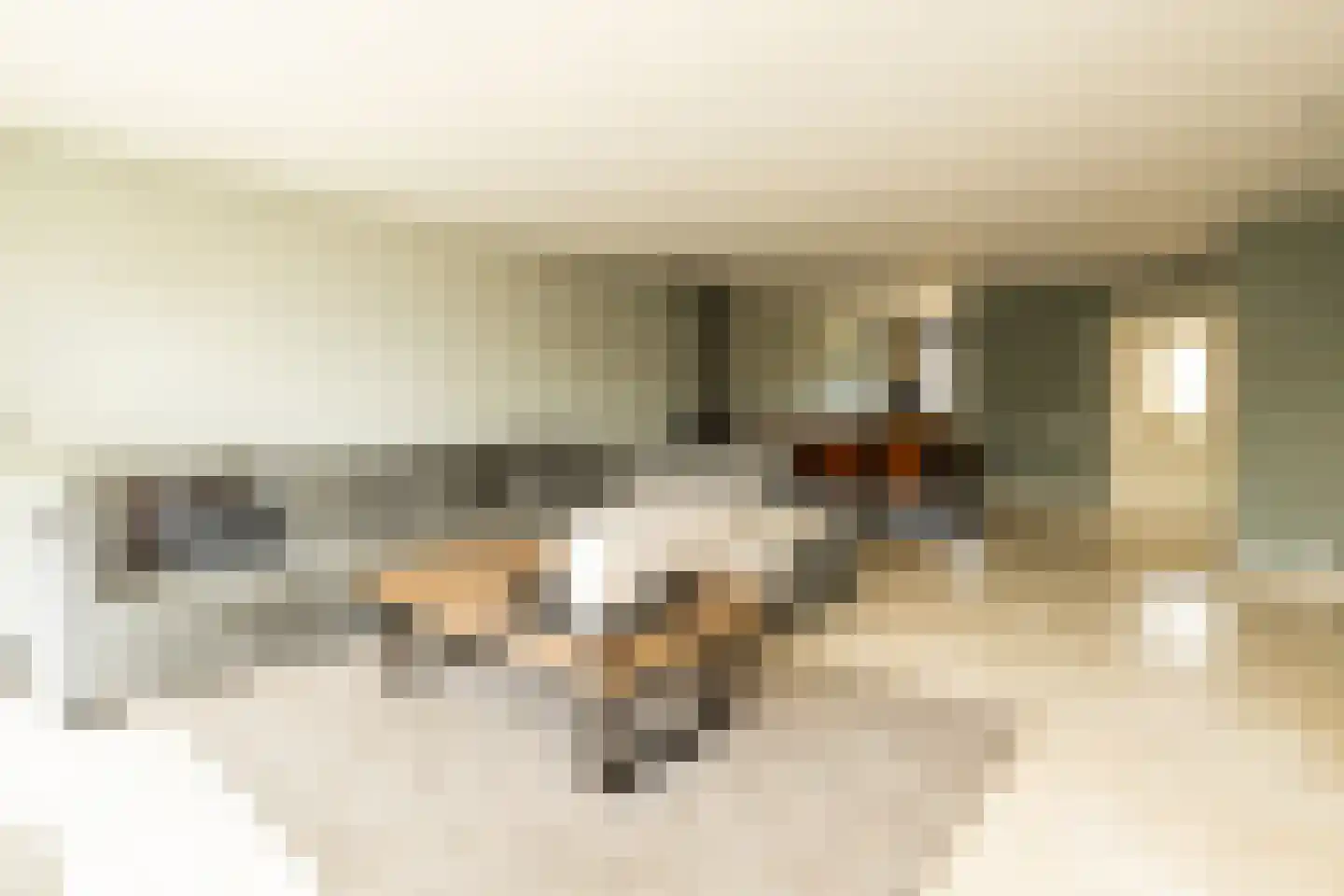Aalbersestraat 9 Naaldwijk thumbnail 7
