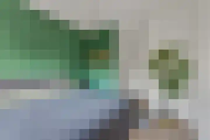 Aalbes 4 Borne thumbnail 21