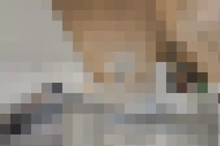 Aalbes 4 Borne thumbnail 29