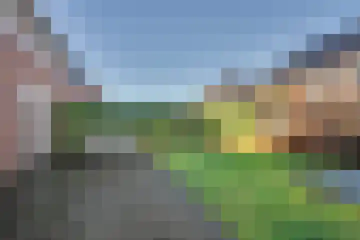 Aalbes 4 Borne thumbnail 31