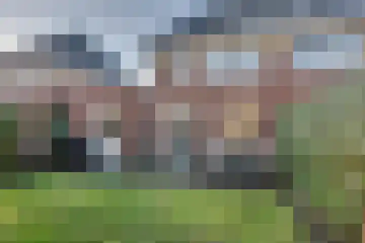 Aalbes 4 Borne thumbnail 33
