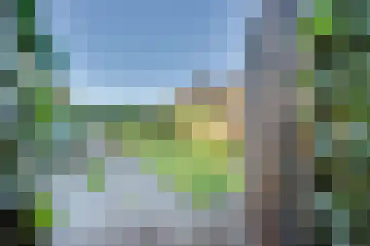 Aalbes 4 Borne thumbnail 34