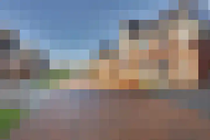 Aalbes 4 Borne thumbnail 36