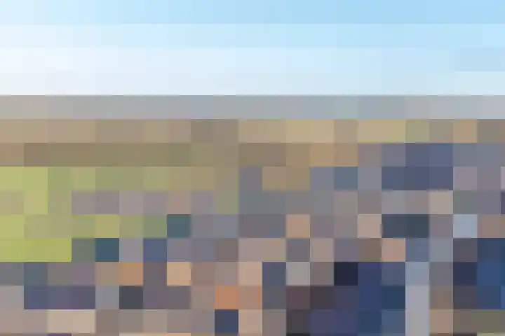 Aalbes 4 Borne thumbnail 37