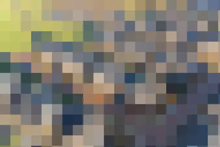 Aalbes 4 Borne thumbnail 39
