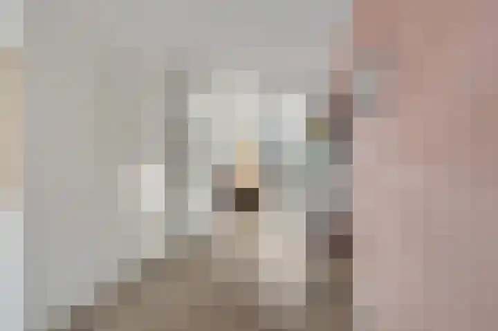 Aalbes 4 Borne thumbnail 7