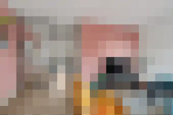 Aalbes 4 Borne thumbnail 9