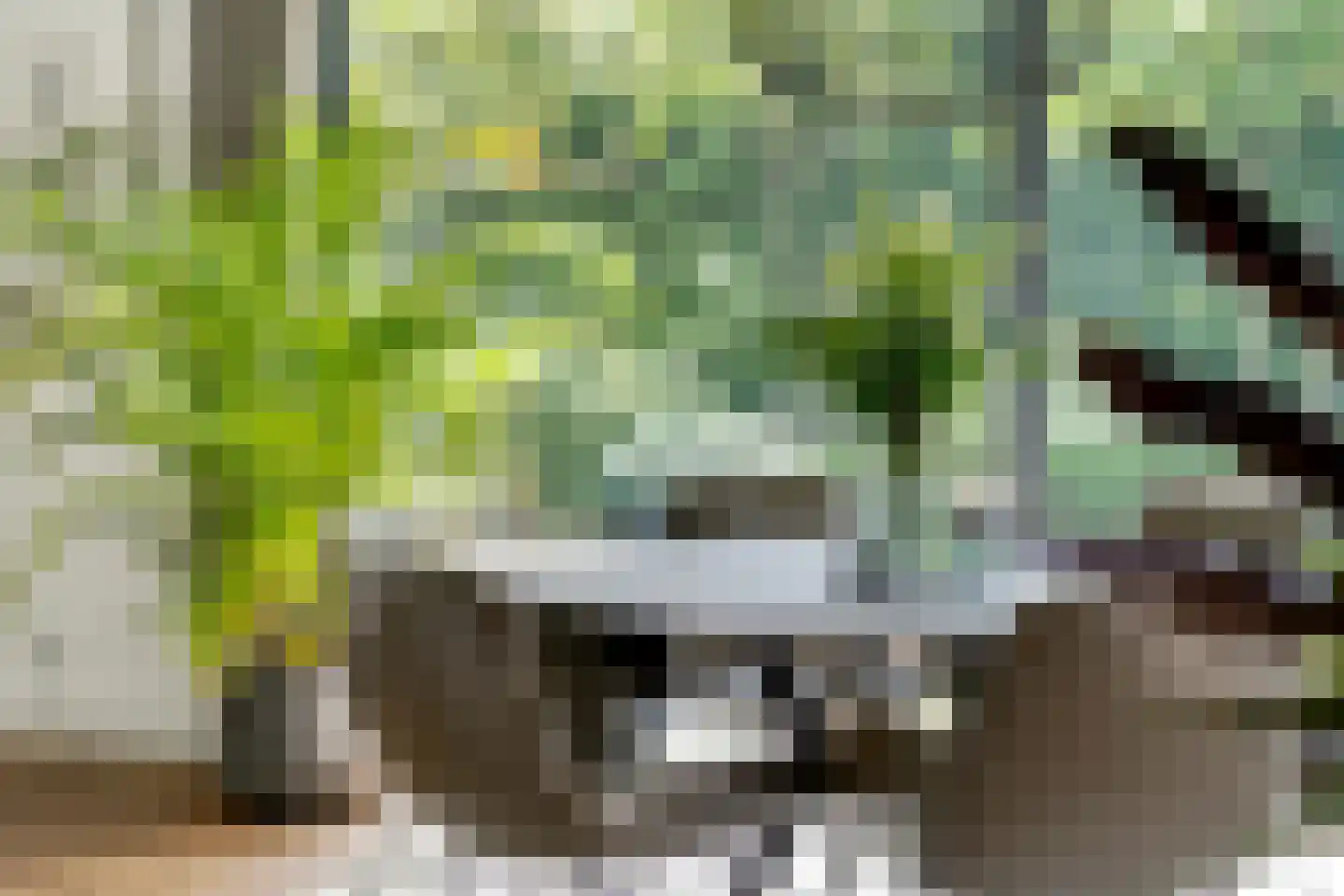 Aalbes 9 Hengelo thumbnail 22