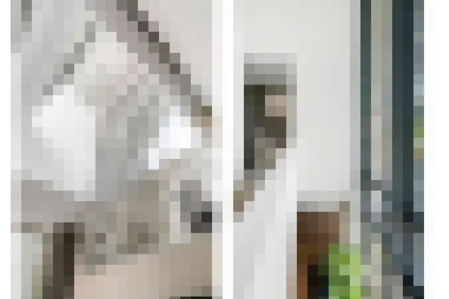 Aalbes 9 Hengelo thumbnail 32