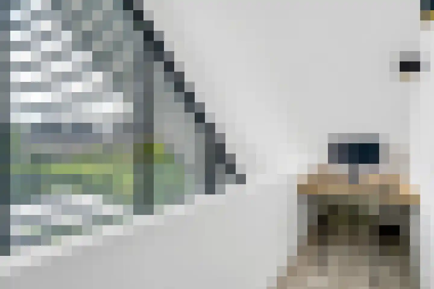 Aalbes 9 Hengelo thumbnail 33
