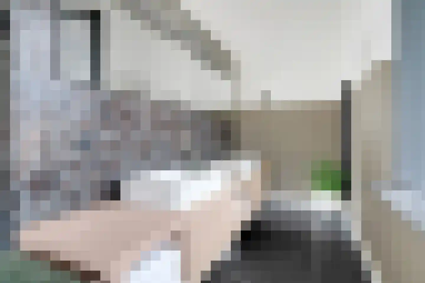 Aalbes 9 Hengelo thumbnail 37