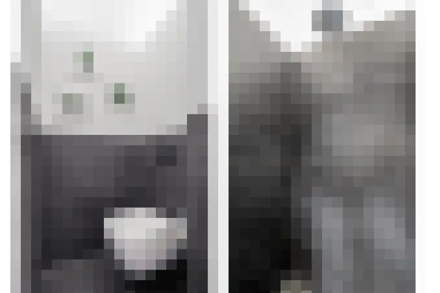 Aalbes 9 Hengelo thumbnail 39