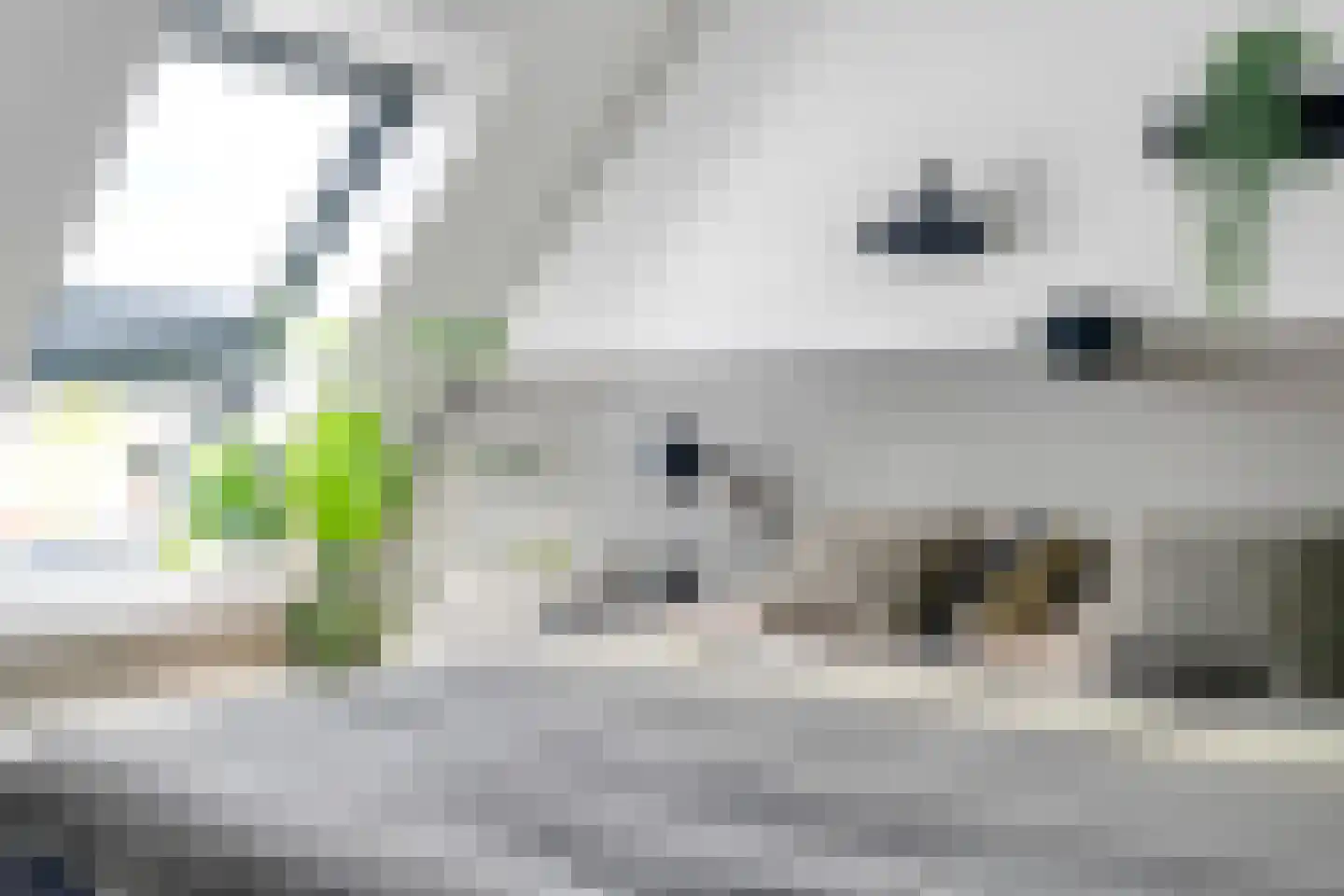 Aalbes 9 Hengelo thumbnail 41