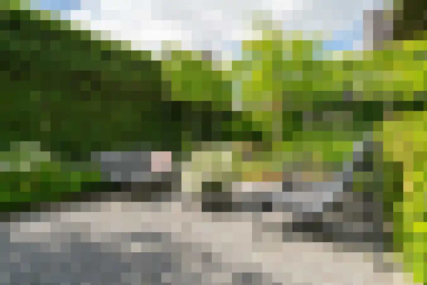 Aalbes 9 Hengelo thumbnail 49