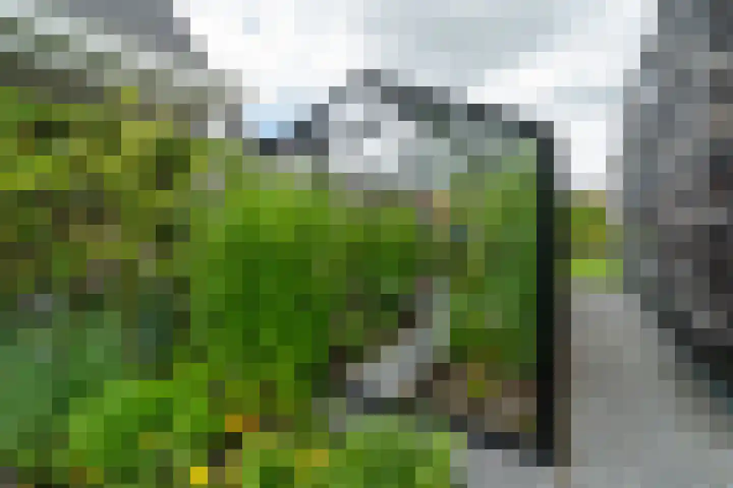Aalbes 9 Hengelo thumbnail 50