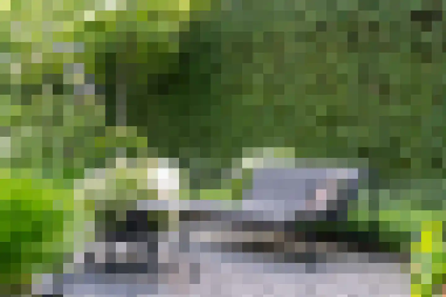 Aalbes 9 Hengelo thumbnail 51