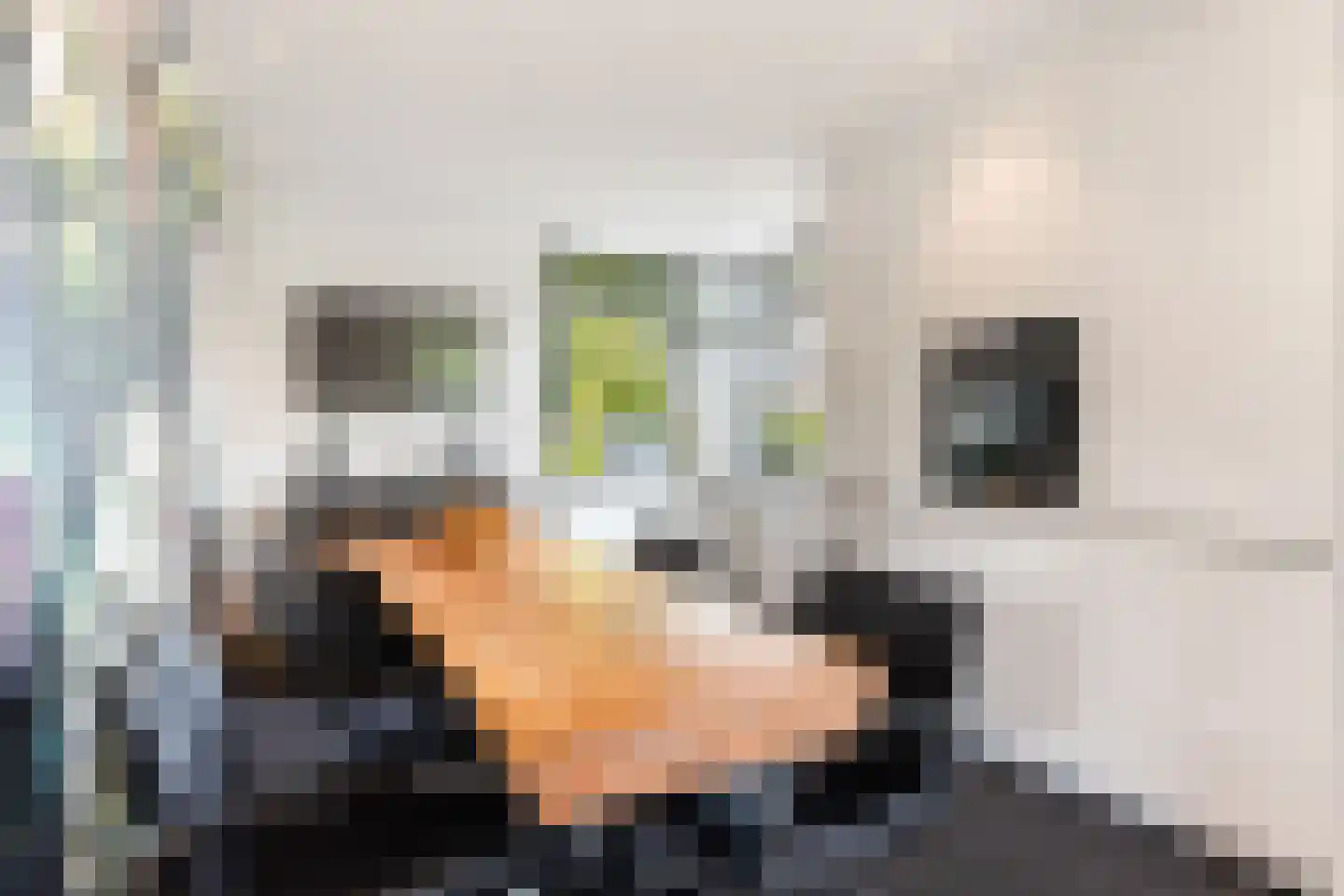 Aalbessenlaan 14 Apeldoorn thumbnail 10