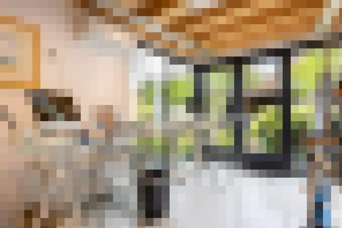 Aalbessenlaan 14 Apeldoorn thumbnail 18