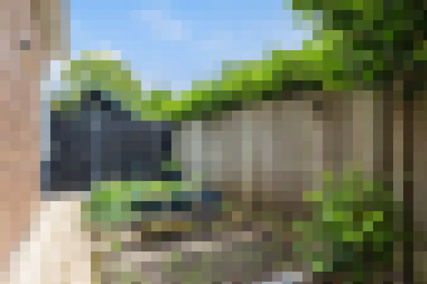 Aalbessenlaan 14 Apeldoorn thumbnail 25
