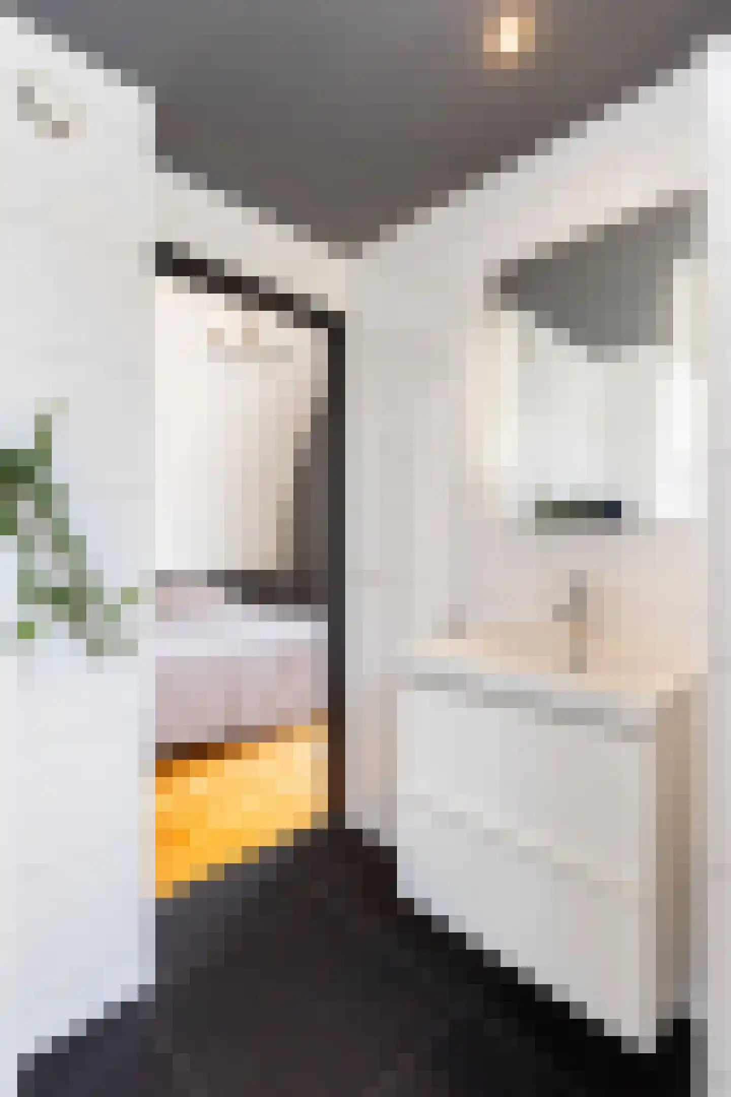 Aalbessenlaan 14 Apeldoorn thumbnail 44