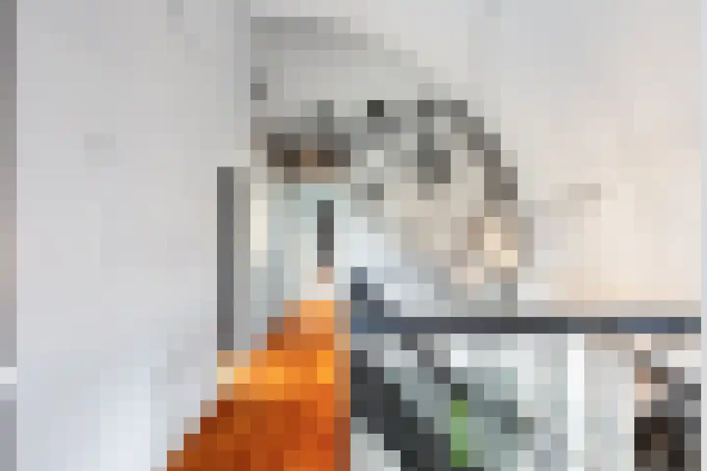Aalbessenlaan 14 Apeldoorn thumbnail 46