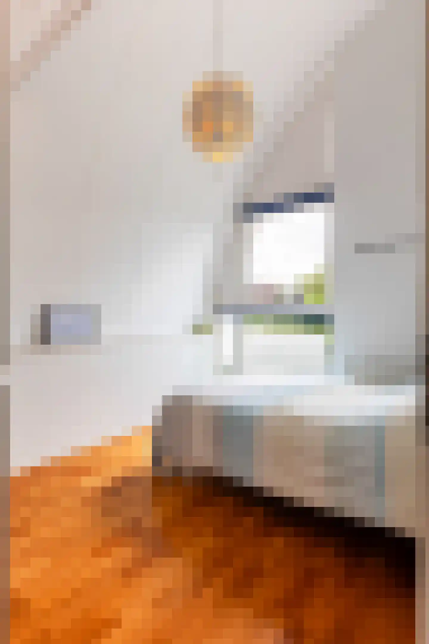 Aalbessenlaan 14 Apeldoorn thumbnail 52