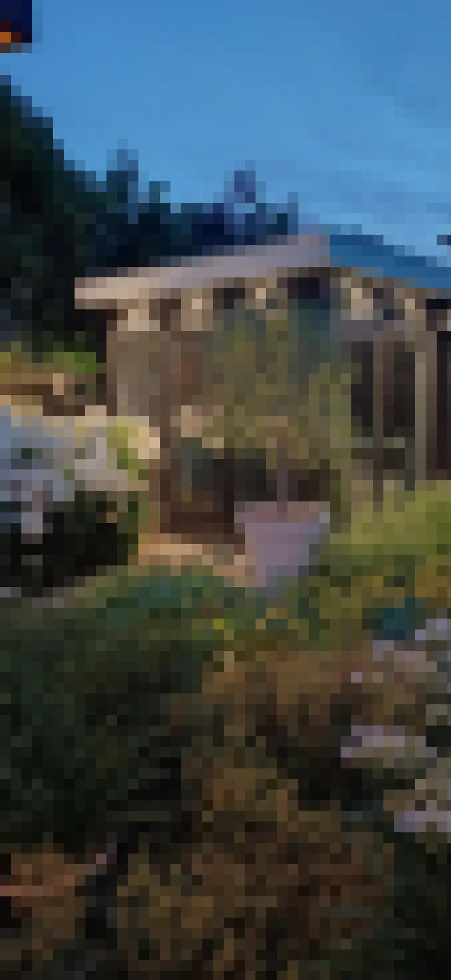 Aalbessenlaan 14 Apeldoorn thumbnail 63