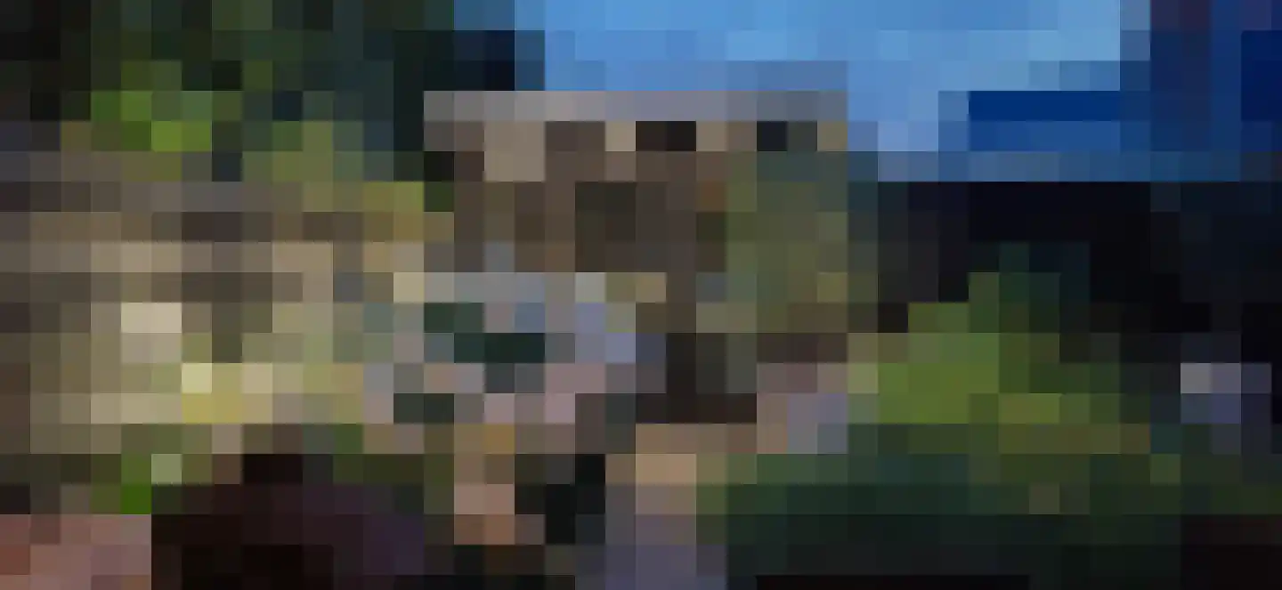 Aalbessenlaan 14 Apeldoorn thumbnail 64