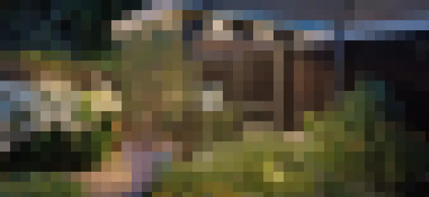 Aalbessenlaan 14 Apeldoorn thumbnail 66