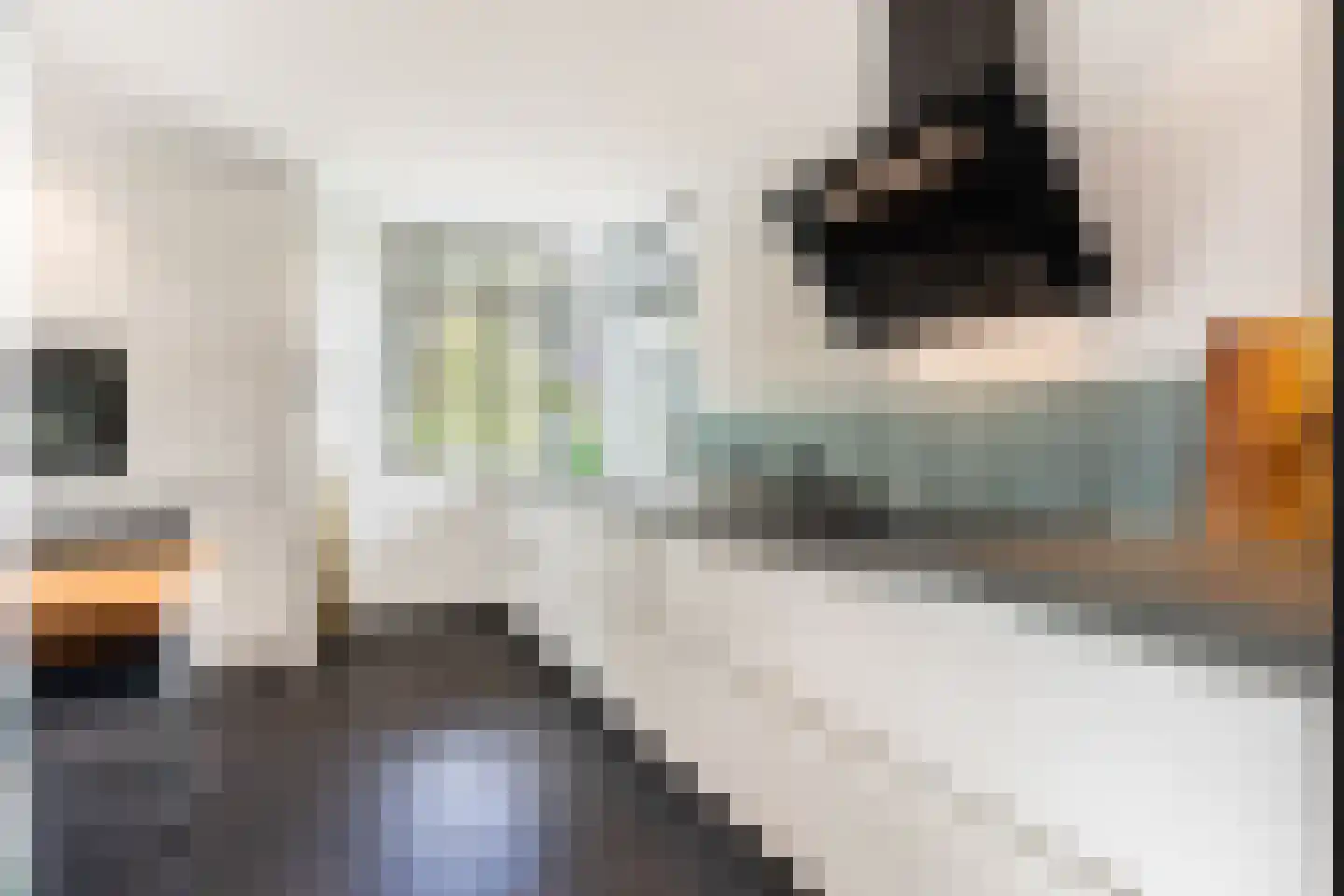 Aalbessenlaan 14 Apeldoorn thumbnail 9