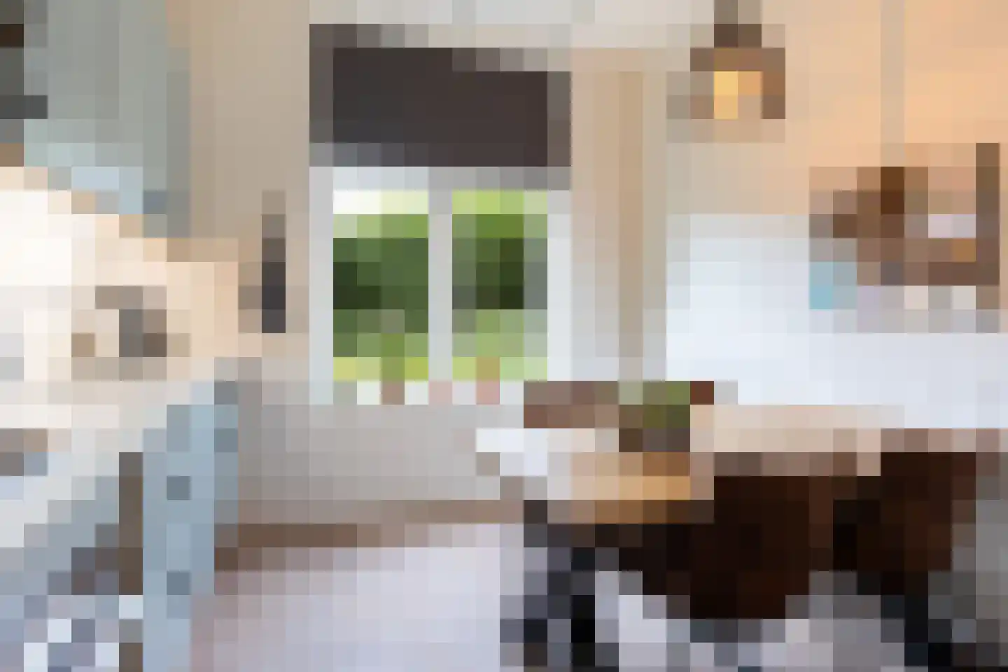 Aalbessenlaan 20 Apeldoorn thumbnail 13