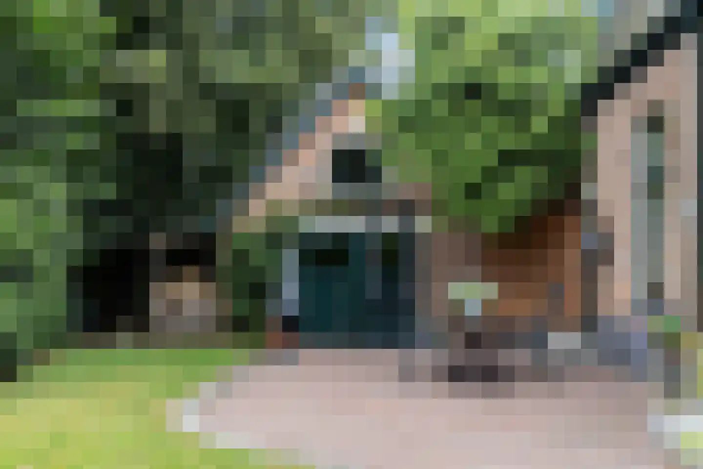 Aalbessenlaan 20 Apeldoorn thumbnail 19