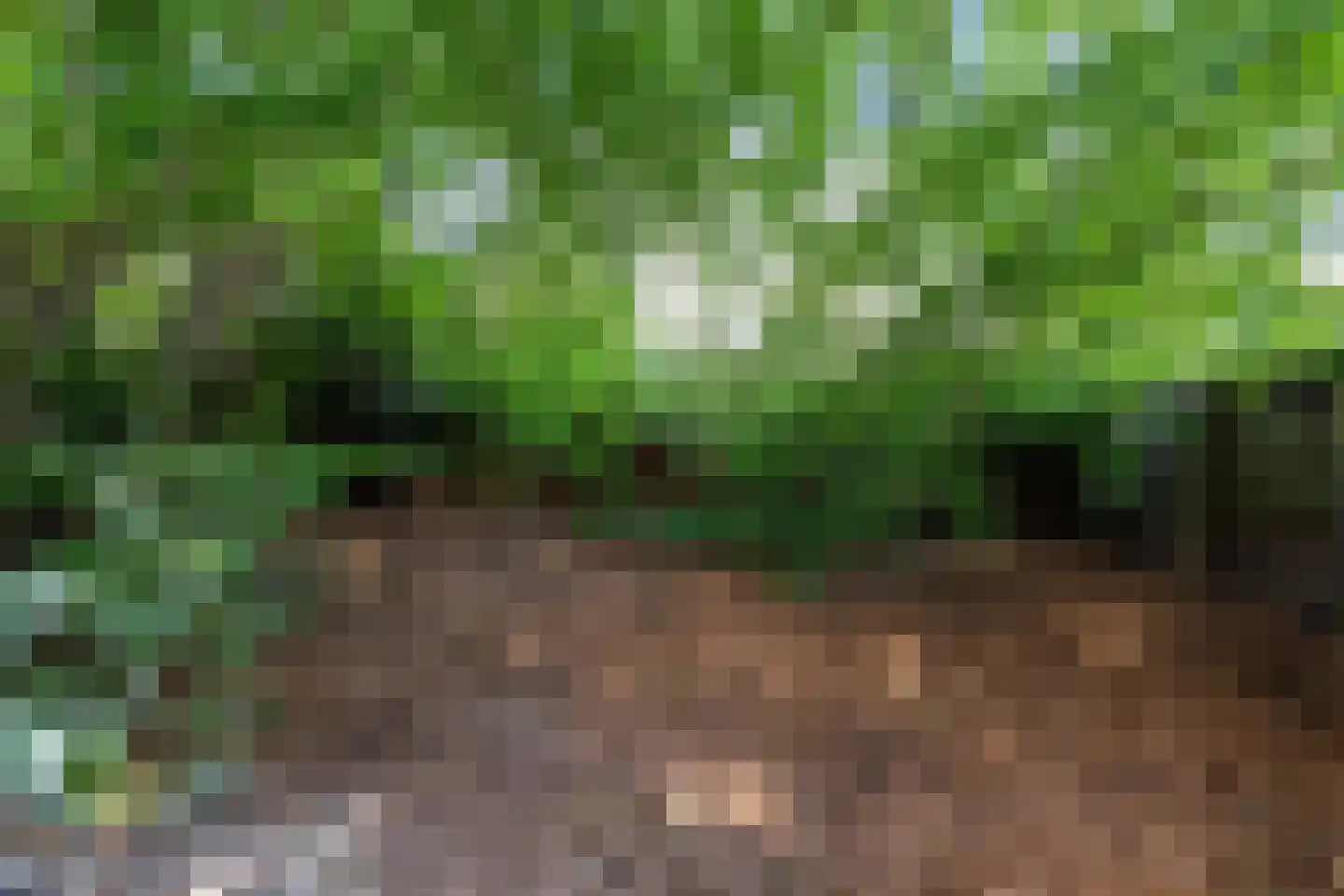 Aalbessenlaan 20 Apeldoorn thumbnail 23